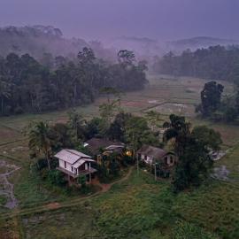 Forest & Fields Sinharaja, hotel i Deniyaya