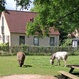 Heerlijke recreatiewoning op een geweldige plek