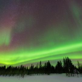 Boreal Pines Apartment in Rovaniemi, Lapland with Sauna, Balcony for Northern Lights & Free Parking, Hotel in Rovaniemi
