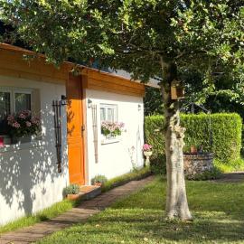 Gîte les violettes