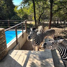 The ChaBo Lodge
