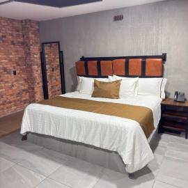 Hotel Van Gogh Aeropuerto Gdl, hotel di Guadalajara