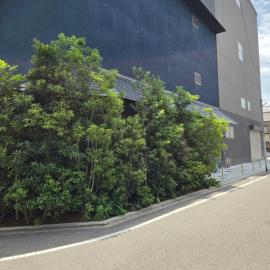 伏見酒蔵宿
