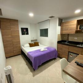 Nevada Loft 9 hermosa y central habitacion