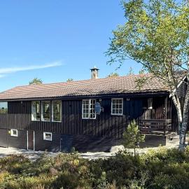 8 person holiday home in Hellandsjøen, hotel in Hellandsjøen