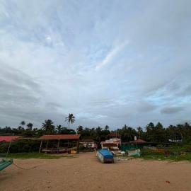 Dolphin beach