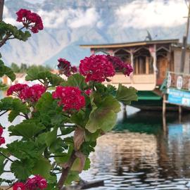 Houseboat In Dallake, hotel a Srinagar