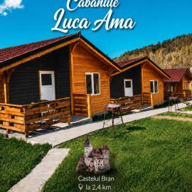 Cabanute Luca Ama Bran, hôtel à Bran