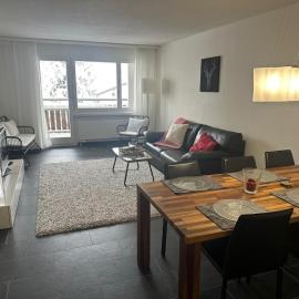 Disentiserhof View