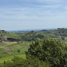 appartement Barbera