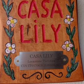 Casa Lily