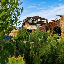 Dive Center, Hotel in Akaba