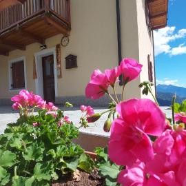 CAV MES VALLEES Torgnon Vda, hotelli kohteessa Torgnon