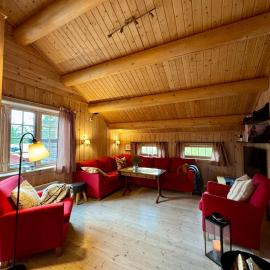 Cabin in Tuddal、Hjartdalのホテル