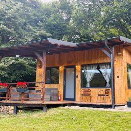 Wood Nest Curtea de Argeș - Cabană de vacanță în natură, хотел в Куртя де Арджеш