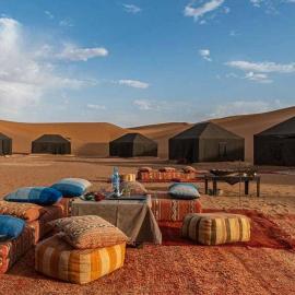 Desert Treasure Camp