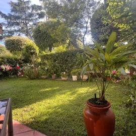 Casa Mimosa