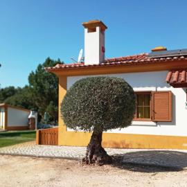 Casa da Eira em Dornes - Casa de campo familiar com piscina โรงแรมในดอร์เนส