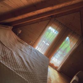 Camp Birch Forest