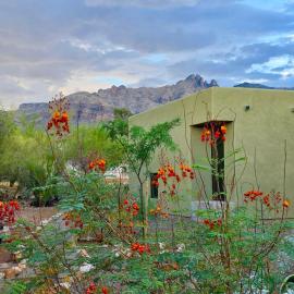 Catalina Vista - Modern 2BD Foothills Retreat with Amazing Mountain Views, hotel u gradu 'Tucson'