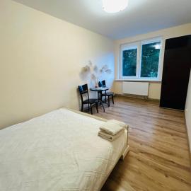 Kambario nuoma su bendra svetaine, virtuve, didele vonia ir sodu