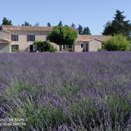Le Mas des Calus Chambres d'hôtes