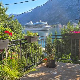 Apartman Jelena