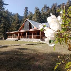 Nadi bangla forest rest house, hotel 