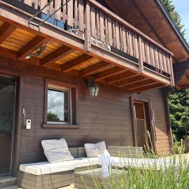 La Voie Lactée Chalet Family Wellness, hotel di Leysin