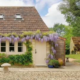 Great Ashley Farm Holiday Cottage & Shepherds Huts