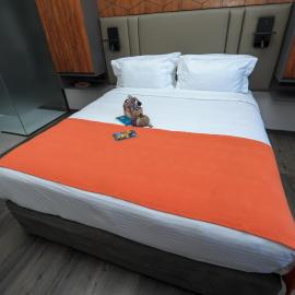 Le Louvre Hotel & Spa, hotel a Antananarivo