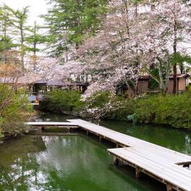 Matsusaki, hotel u gradu 'Nomi'