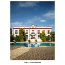 Palacio de Montellano, hotel i Montellano