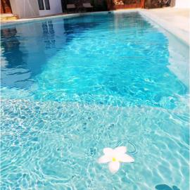 Villa Nyota, hotel v destinaci Kidenga