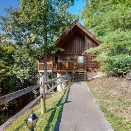 Dog Friendly Mtn Studio Cabin Sleeps 2 Hot Tub