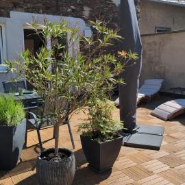 Terrasse der Ruhe im Alten Winzerhaus am Calmont