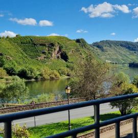 Historisches Mosel-Refugium im Alten Winzerhaus am Calmont