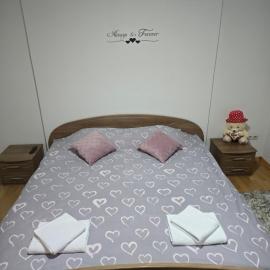 Teo FAMILY APARTMENT TUZLA