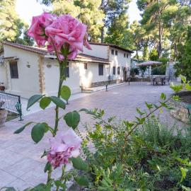 Sani Traditional Forest Villa – hotel w mieście Sani Beach