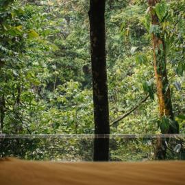 Nuakú Jungle, hotel en Aguas Zarcas