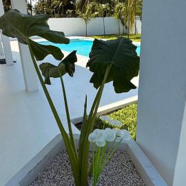 Ngemi House Deluxe Apartments Watamu, hotel u gradu Vatamu