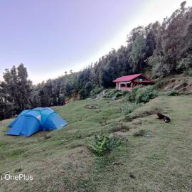 Cafe Himalayan Musaafir & Campsite Kareri