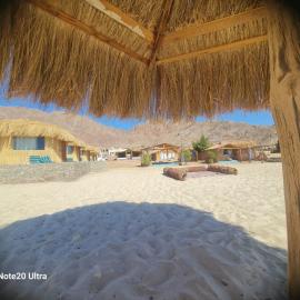 Viva La Vida Beach Camp