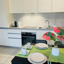 Balerna Swiss Apartment by RentuGoo Travel