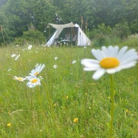 Séjour nature en tente équipée