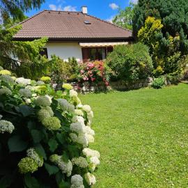 House near castle park, hotel in Eisenstadt