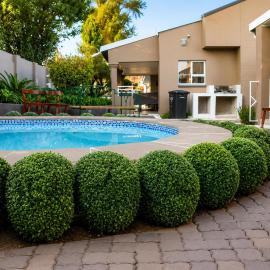 Comfort e Casa Lodge Near OR Tambo Airport
