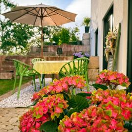 Moderne Ferienwohnung am Waldrand mit Terrasse
