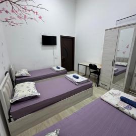 Everest Family Hostel