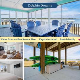 Dolphin Dreams by Youngs Suncoast